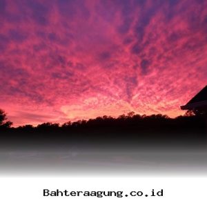 Panduan Lengkap Menghitung Biaya Admin Shopee 2026 Agar Jualan Tetap Cuan Maksimal!