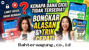 Solusi Ampuh Mengaktifkan Kembali DANA Cicil yang Hilang dengan Cepat dan Mudah di 2026