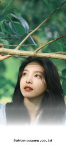 Waspada Bahaya di Balik Tren Aplikasi Live Streaming 2026 Sebelum Data Pribadi Anda Terancam!